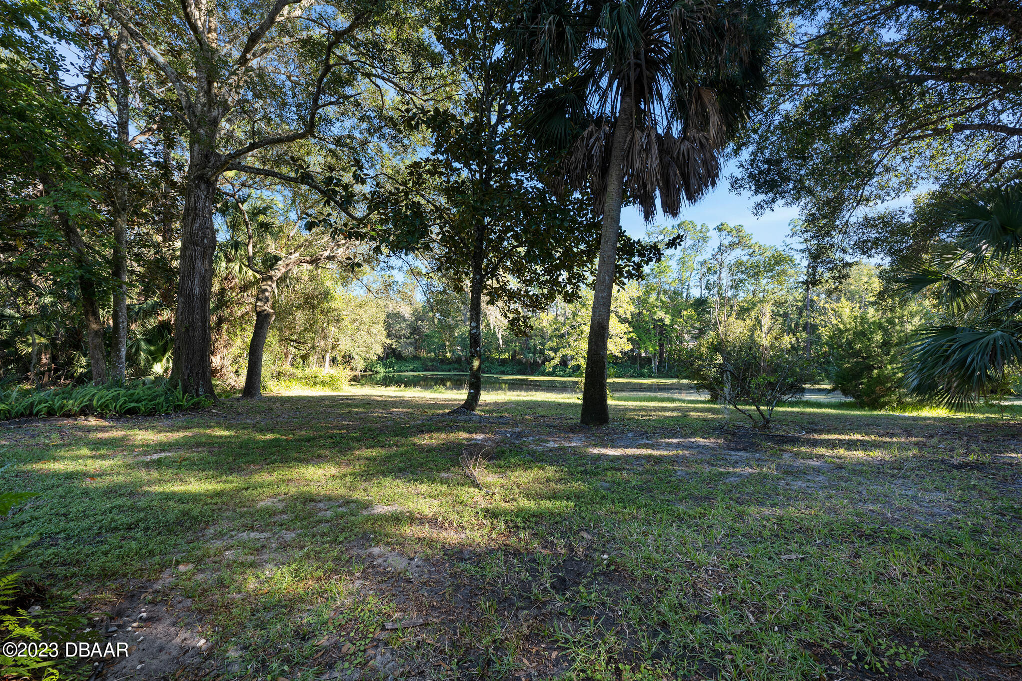 155 Lynwood Lane Ormond Beach, FL 32174 - Photo 64 of 65 Sprawling Lawn