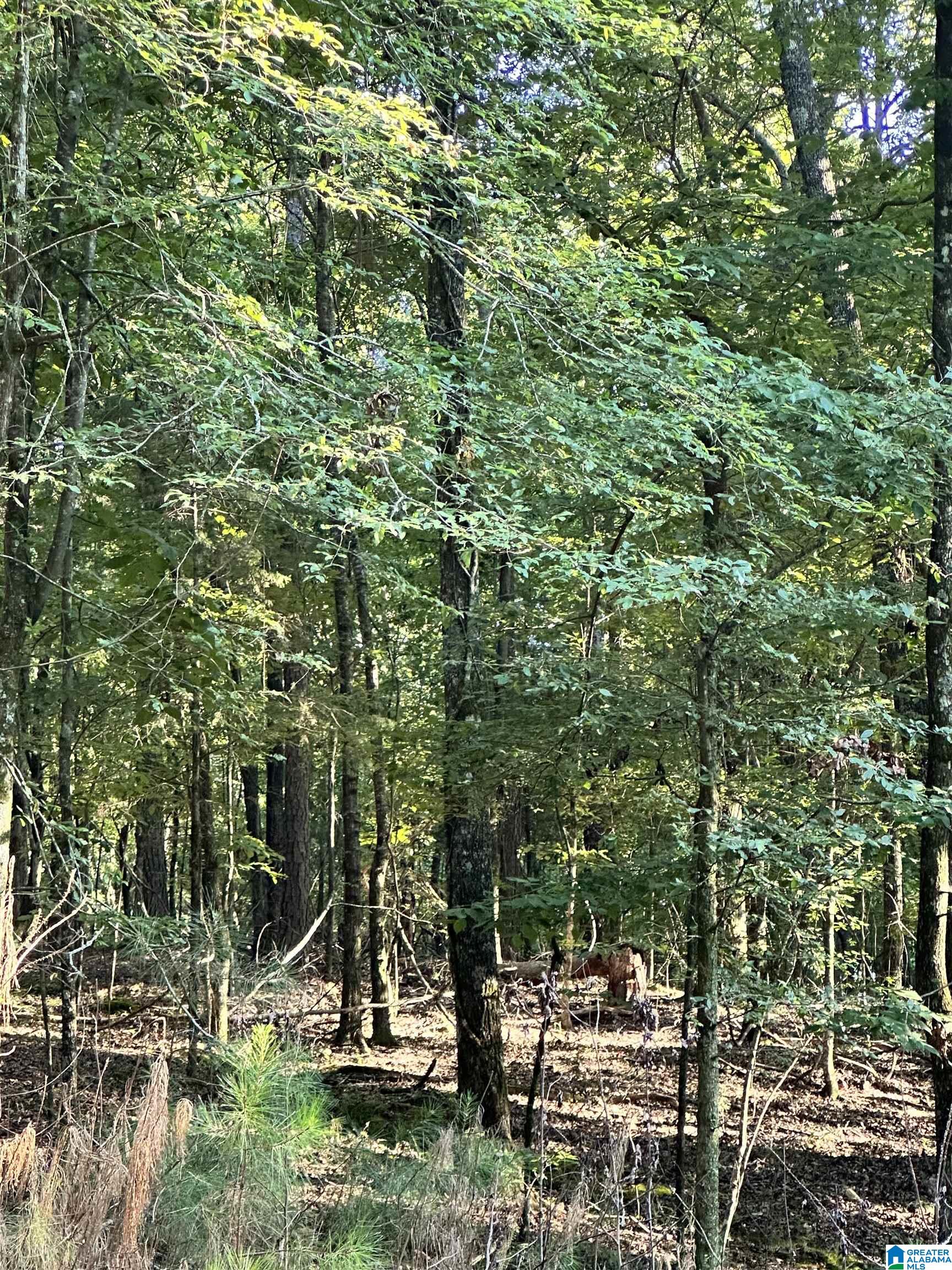 500 Black Acres Road, Unit 27 Cropwell, AL 35054 - Photo 10 of 25