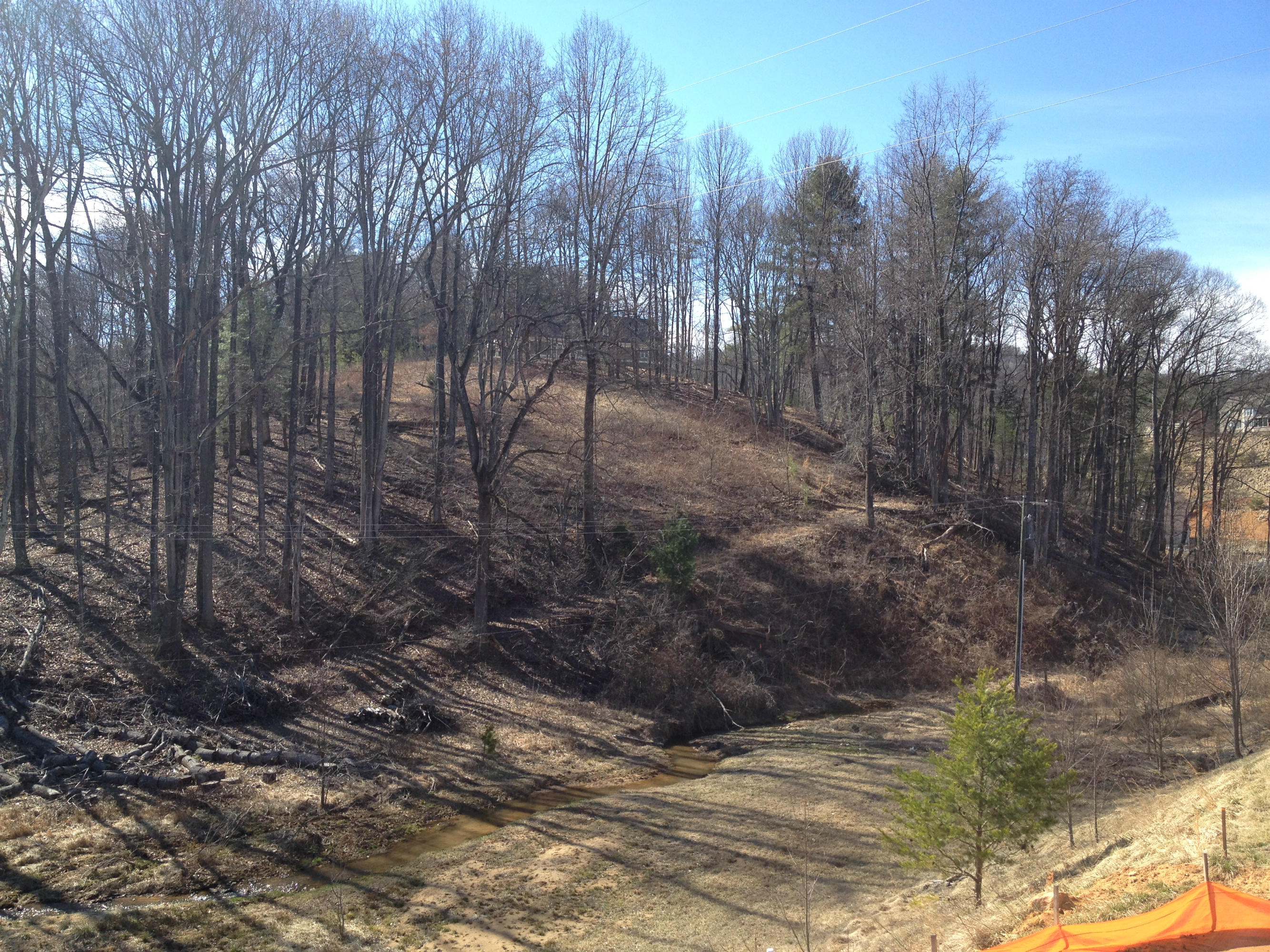6080 Roselawn Road Roanoke, VA 24018 - Photo 2 of 51 IMG_3660