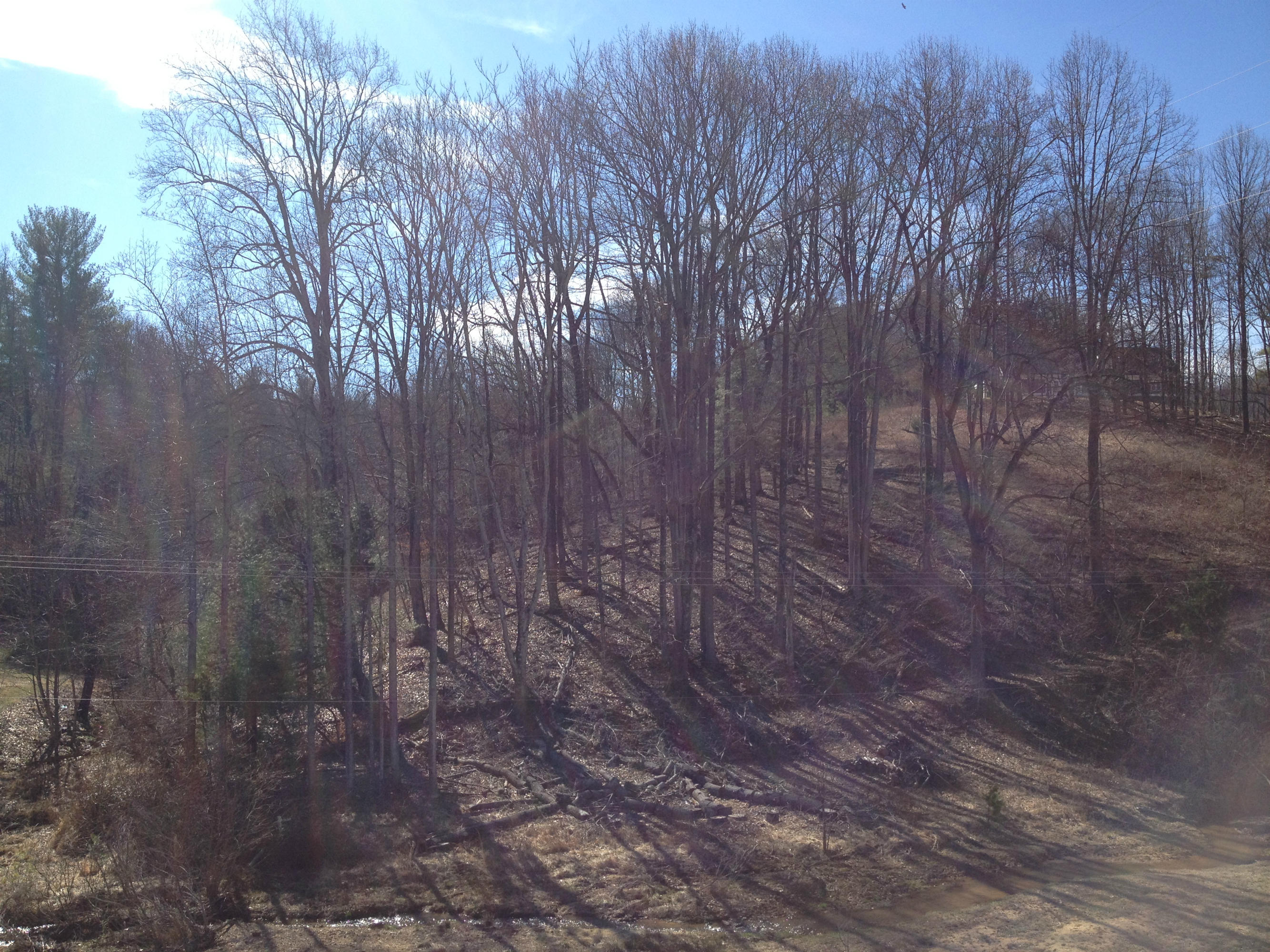 6080 Roselawn Road Roanoke, VA 24018 - Photo 3 of 51 IMG_3661