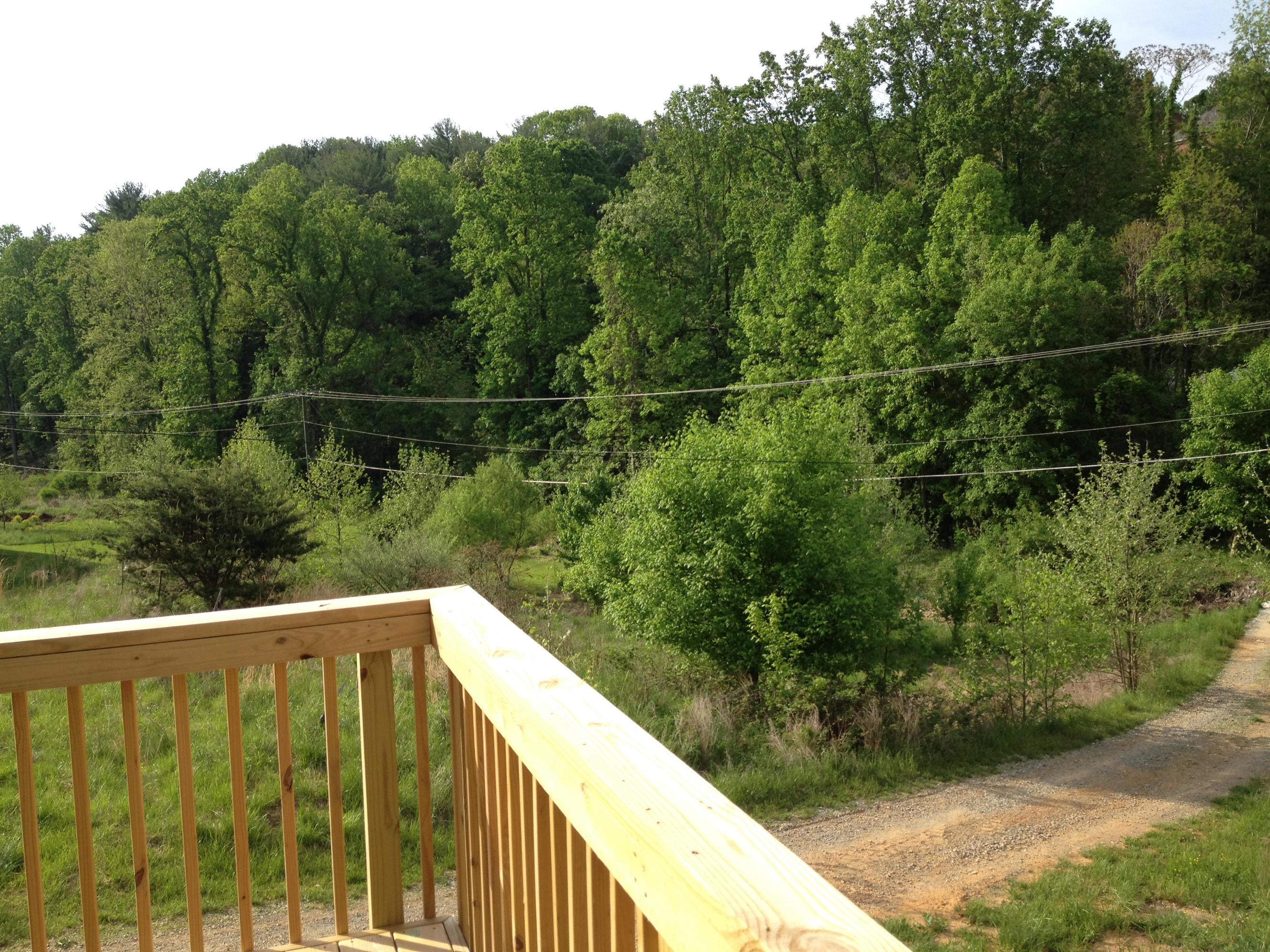 6080 Roselawn Road Roanoke, VA 24018 - Photo 49 of 51 IMG_4200