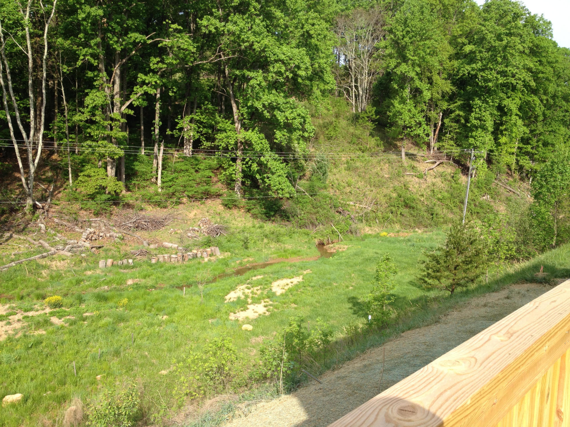 6080 Roselawn Road Roanoke, VA 24018 - Photo 51 of 51 IMG_4202