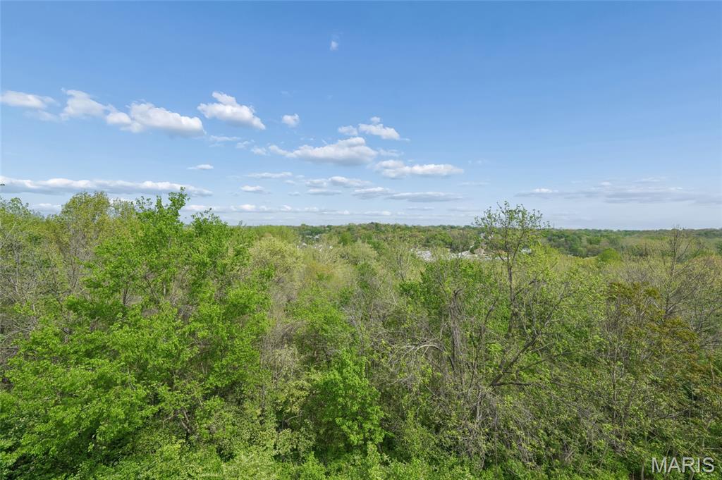 1848 Ridgeview Cir Drive Ballwin, MO 63021 - Photo 21 of 22