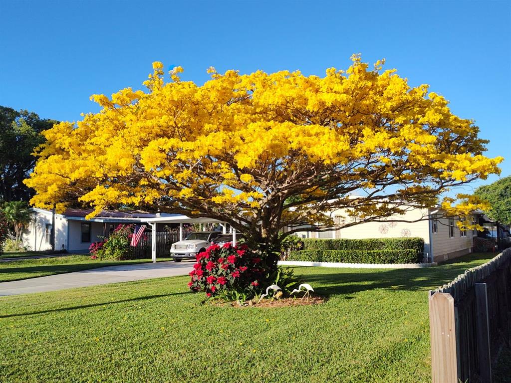 a front view of a house with a big yard