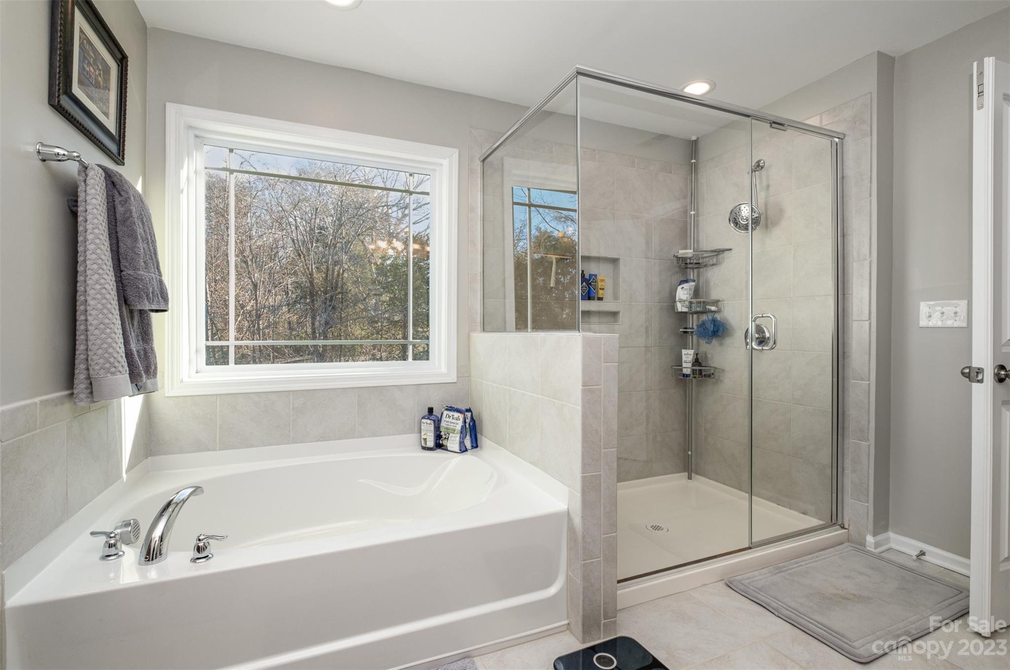 106 Chance Road Mooresville, NC 28115 - Photo 26 of 36 Gallery Image 26