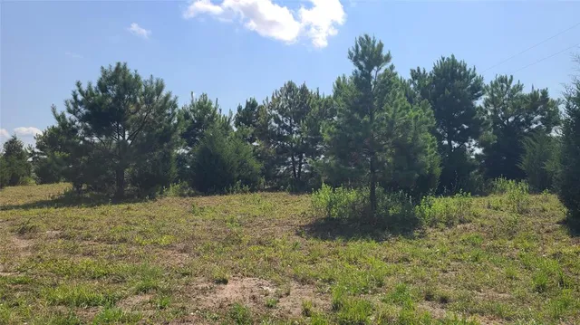a view of outdoor space with trees