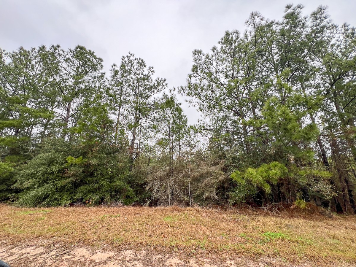 3 Rec Road 255 Colmesneil, TX 75938 - Photo 6 of 19