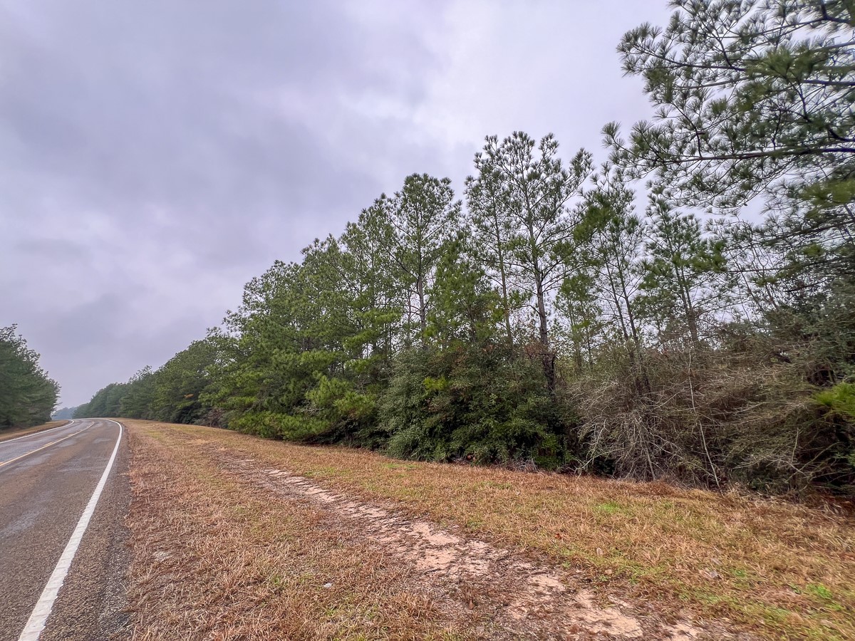 3 Rec Road 255 Colmesneil, TX 75938 - Photo 7 of 19