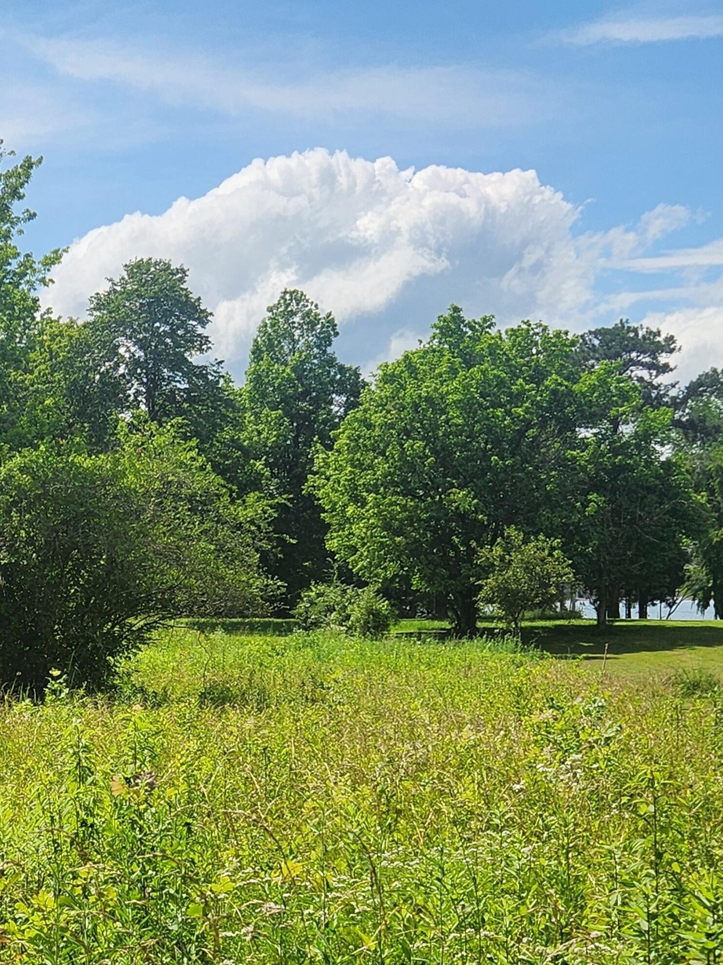 6227 River Road Decatur, TN 37322 - Photo 13 of 19 a view of outdoor space with deck and yard