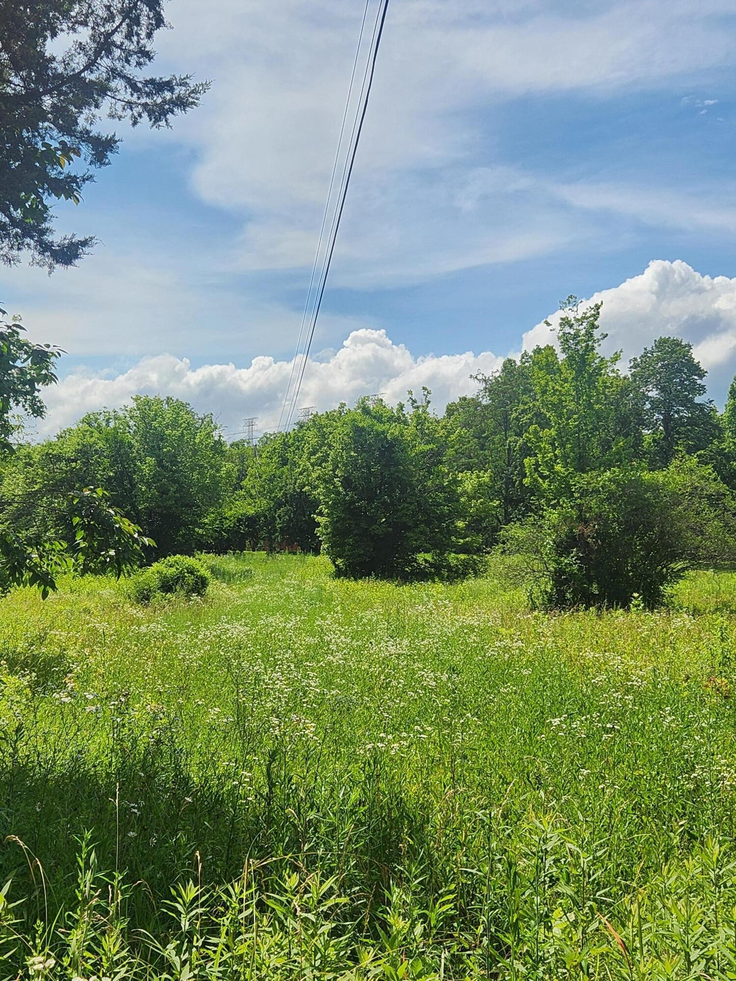6227 River Road Decatur, TN 37322 - Photo 18 of 19 a backyard of a house with lots of green space