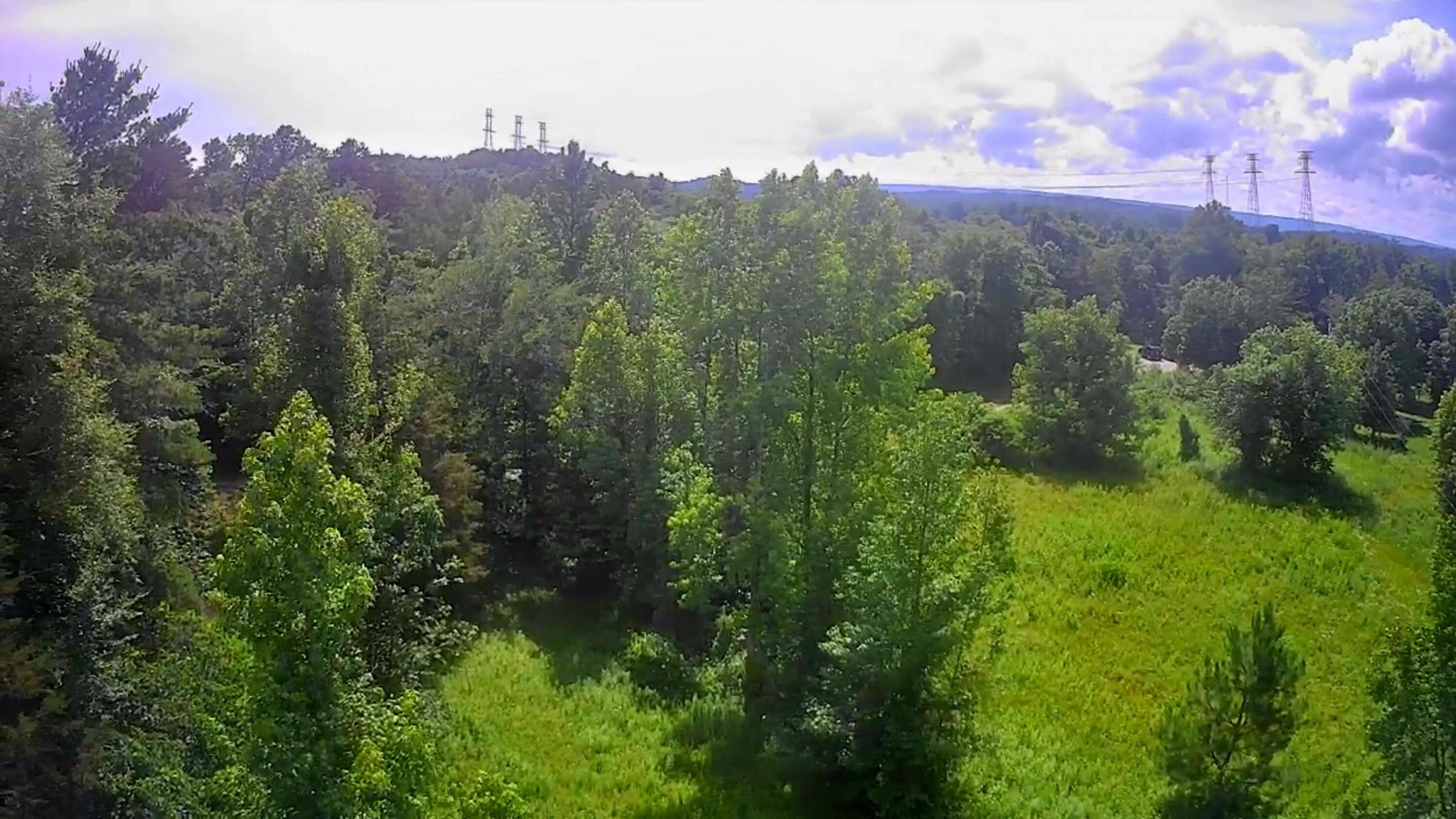 6227 River Road Decatur, TN 37322 - Photo 7 of 19 a view of a city with lush green forest