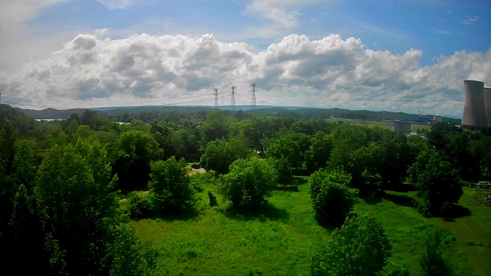6227 River Road Decatur, TN 37322 - Photo 8 of 19 a view of a garden with a building in background