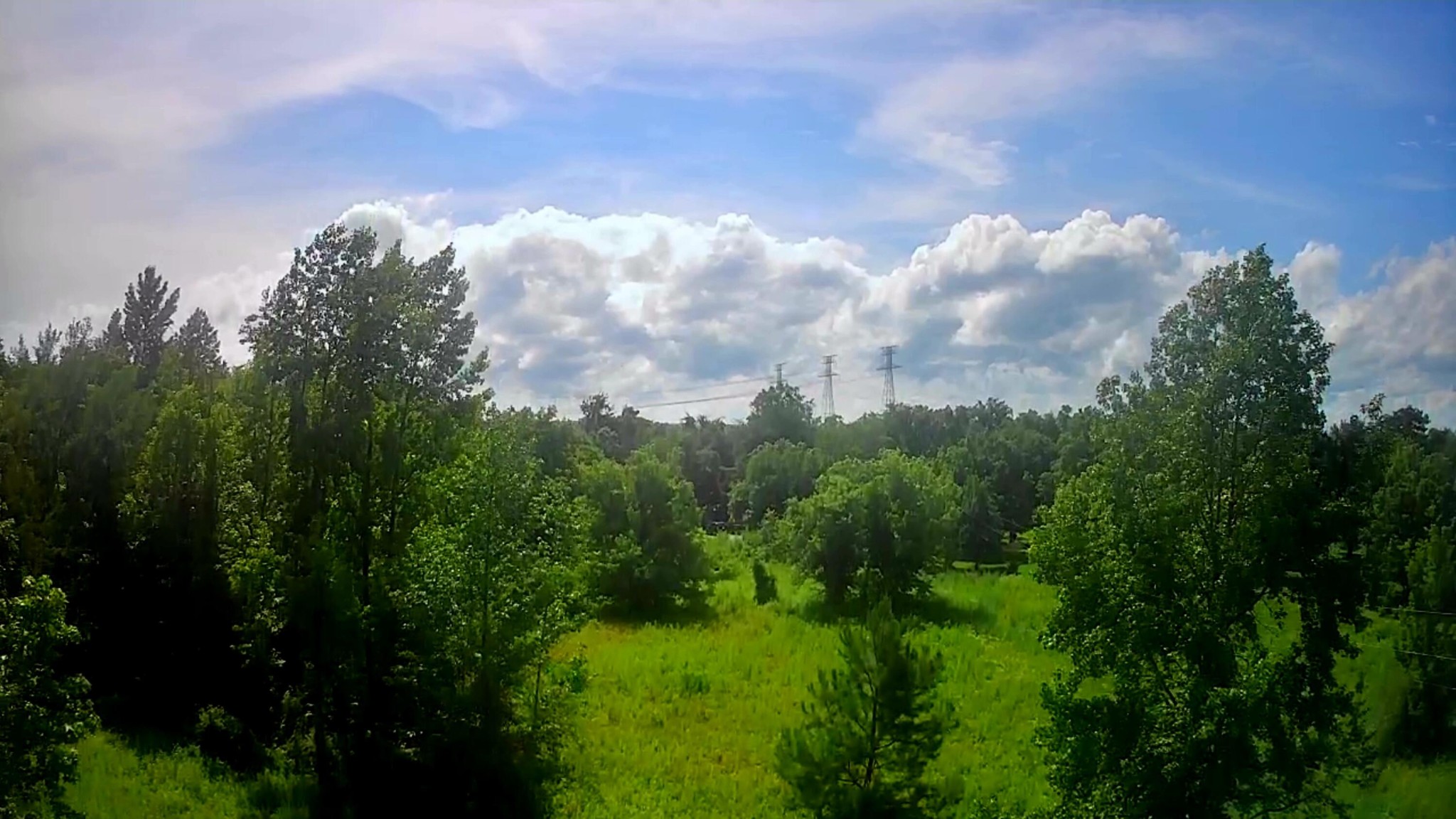 6227 River Road Decatur, TN 37322 - Photo 9 of 19 a city view with lot of trees around