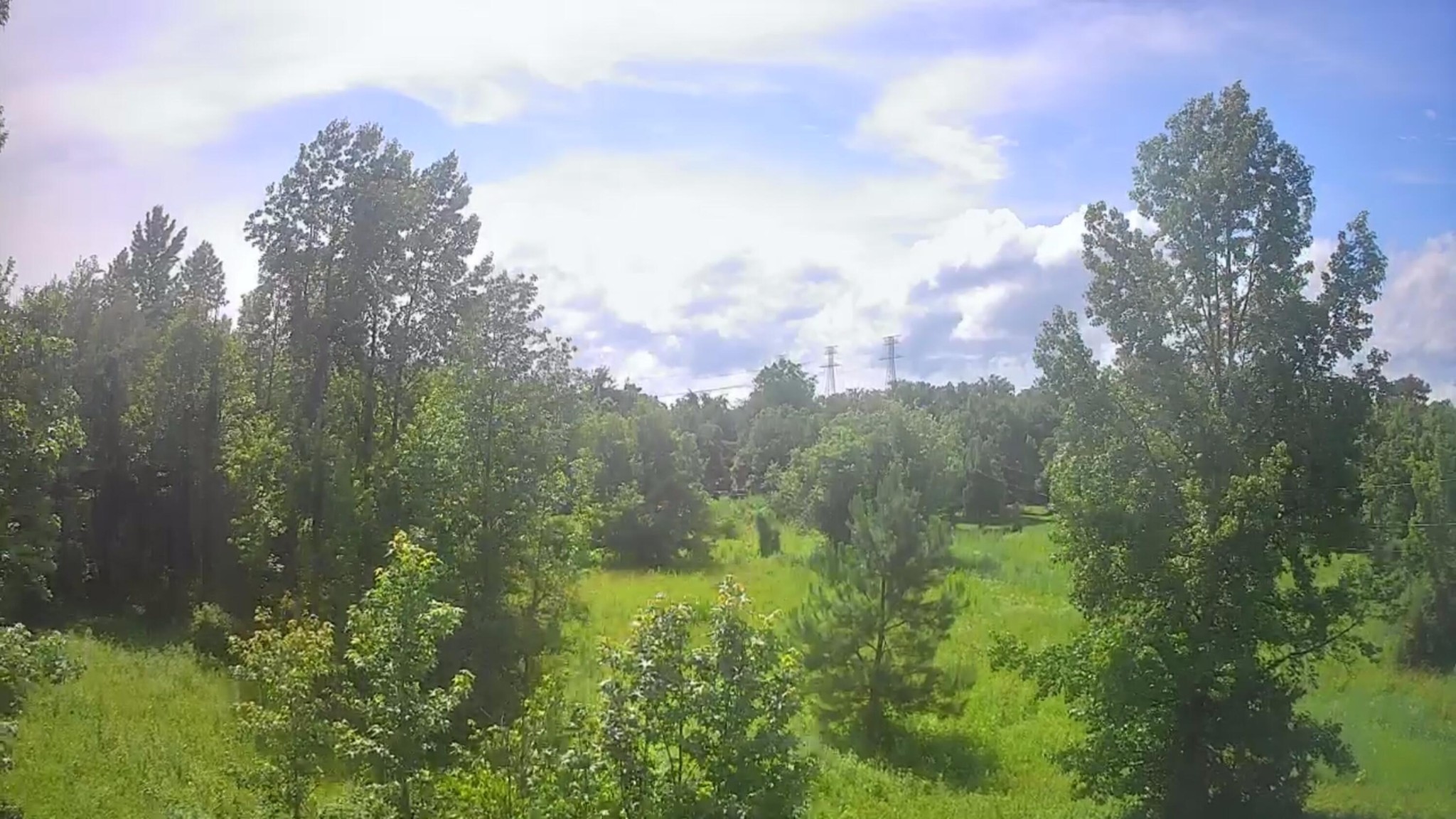 6227 River Road Decatur, TN 37322 - Photo 10 of 19 a view of a city with lush green forest