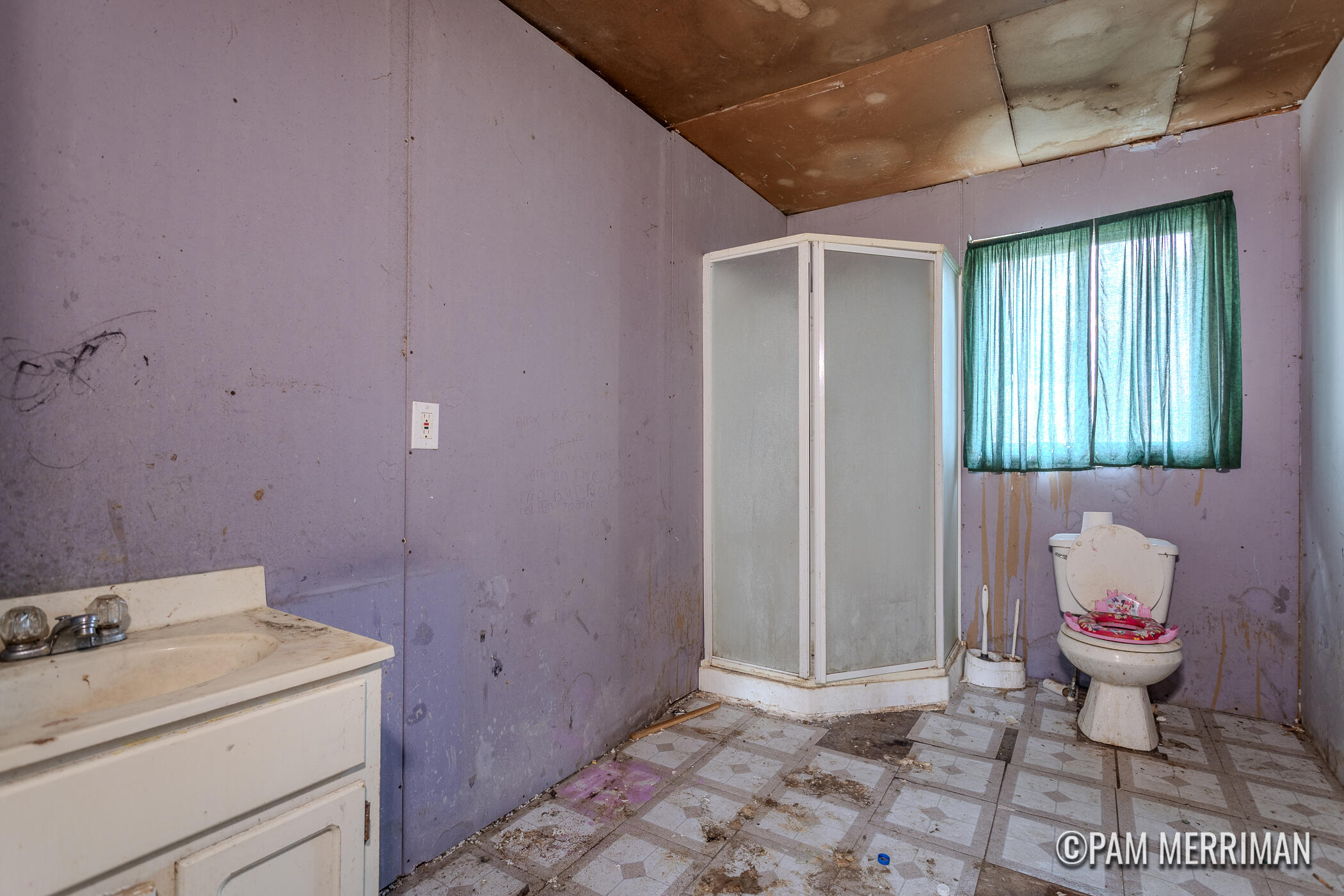 4029 Evergreen Road Southeast Stanton, MI 48888 - Photo 11 of 18 4029 Evergreen-15