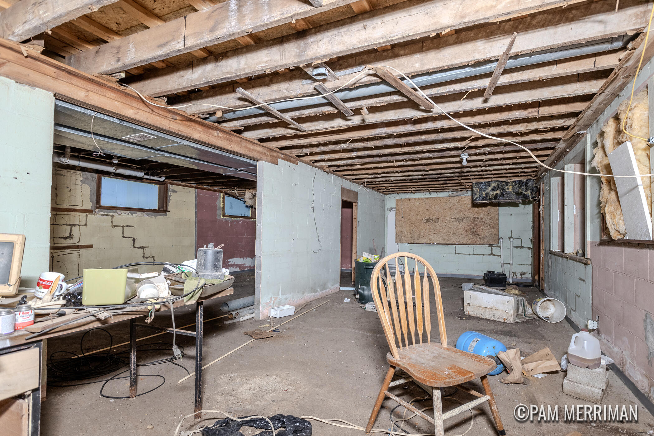 4029 Evergreen Road Southeast Stanton, MI 48888 - Photo 14 of 18 4029 Evergreen-18