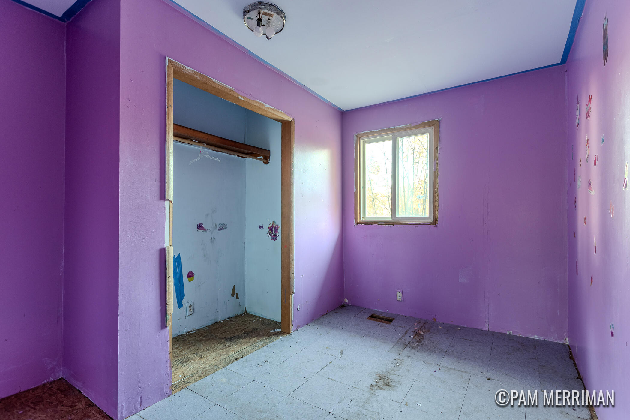 4029 Evergreen Road Southeast Stanton, MI 48888 - Photo 10 of 18 4029 Evergreen-14