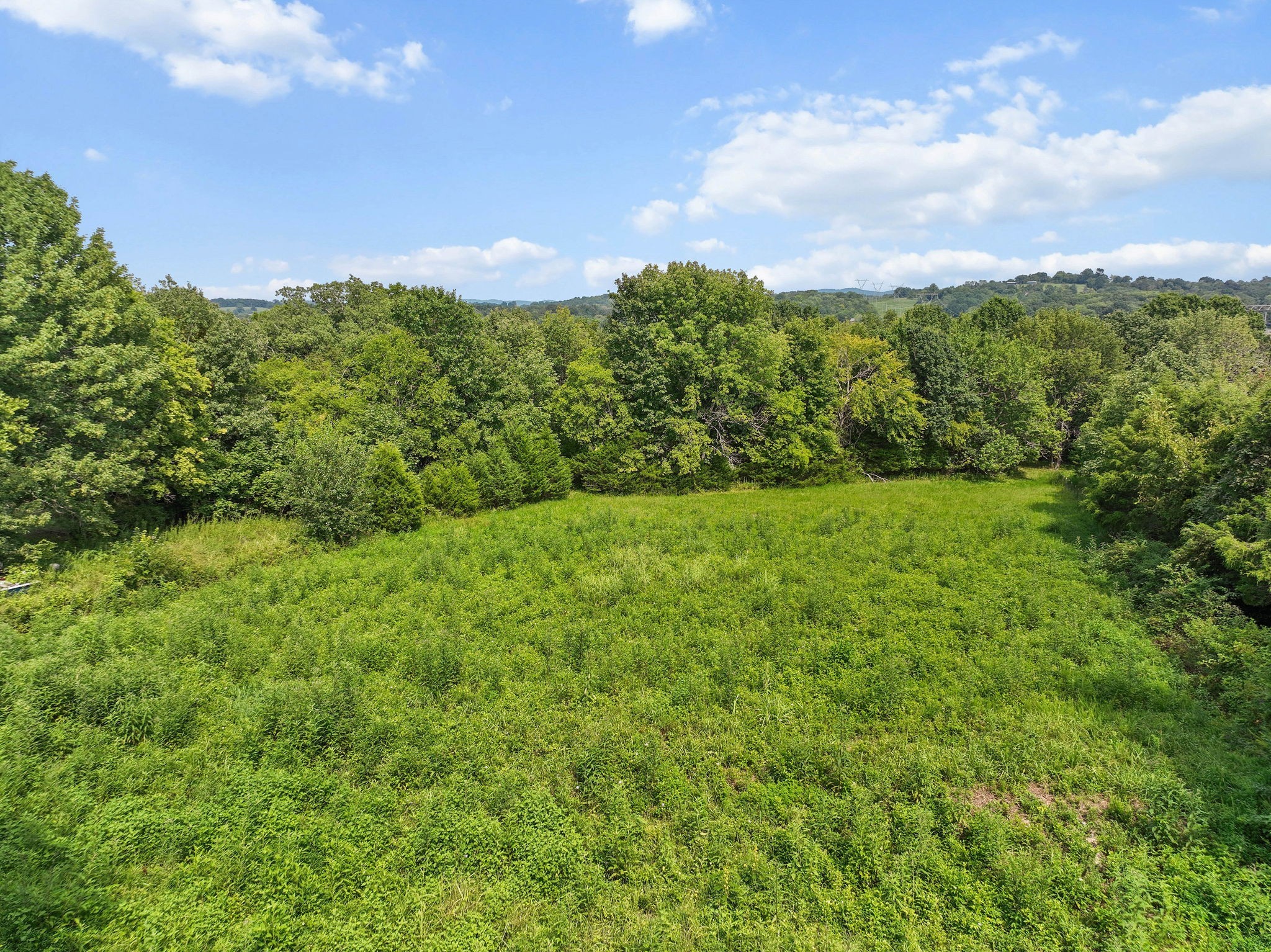 2301 Turner Road Watertown, TN 37184 - Photo 52 of 65 a view of a green field with lots of bushes