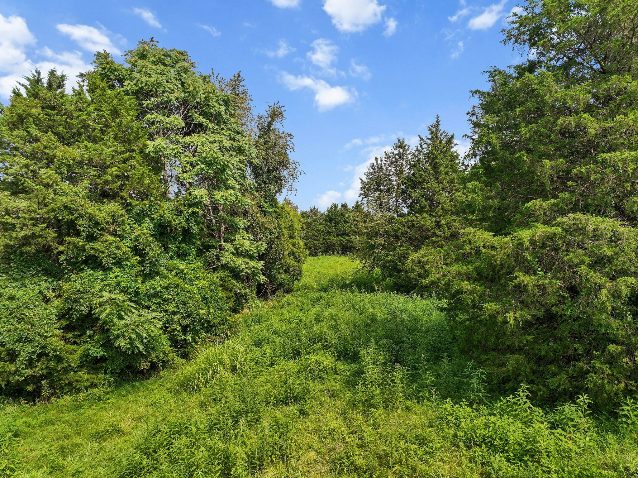 2301 Turner Road Watertown, TN 37184 - Photo 53 of 65 a view of a green field