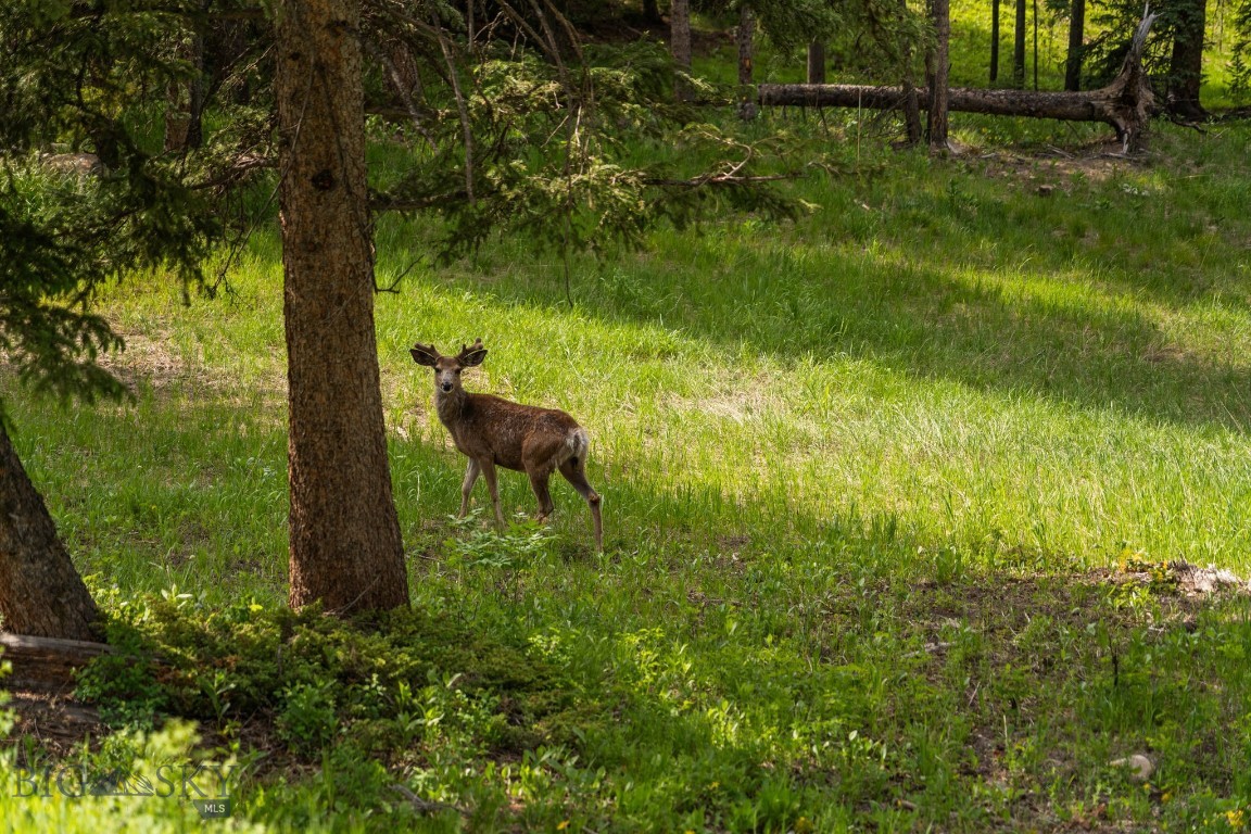 544 Grey Drake Road Big Sky, MT 59730 - Photo 84 of 86 Gallery Image 84