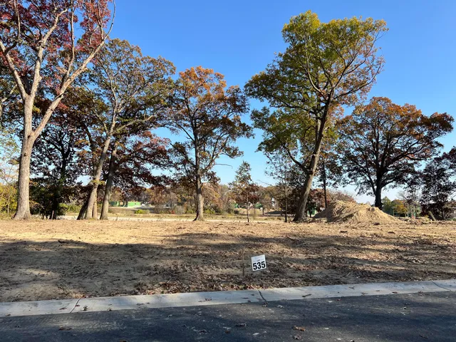 a view of a yard with a tree