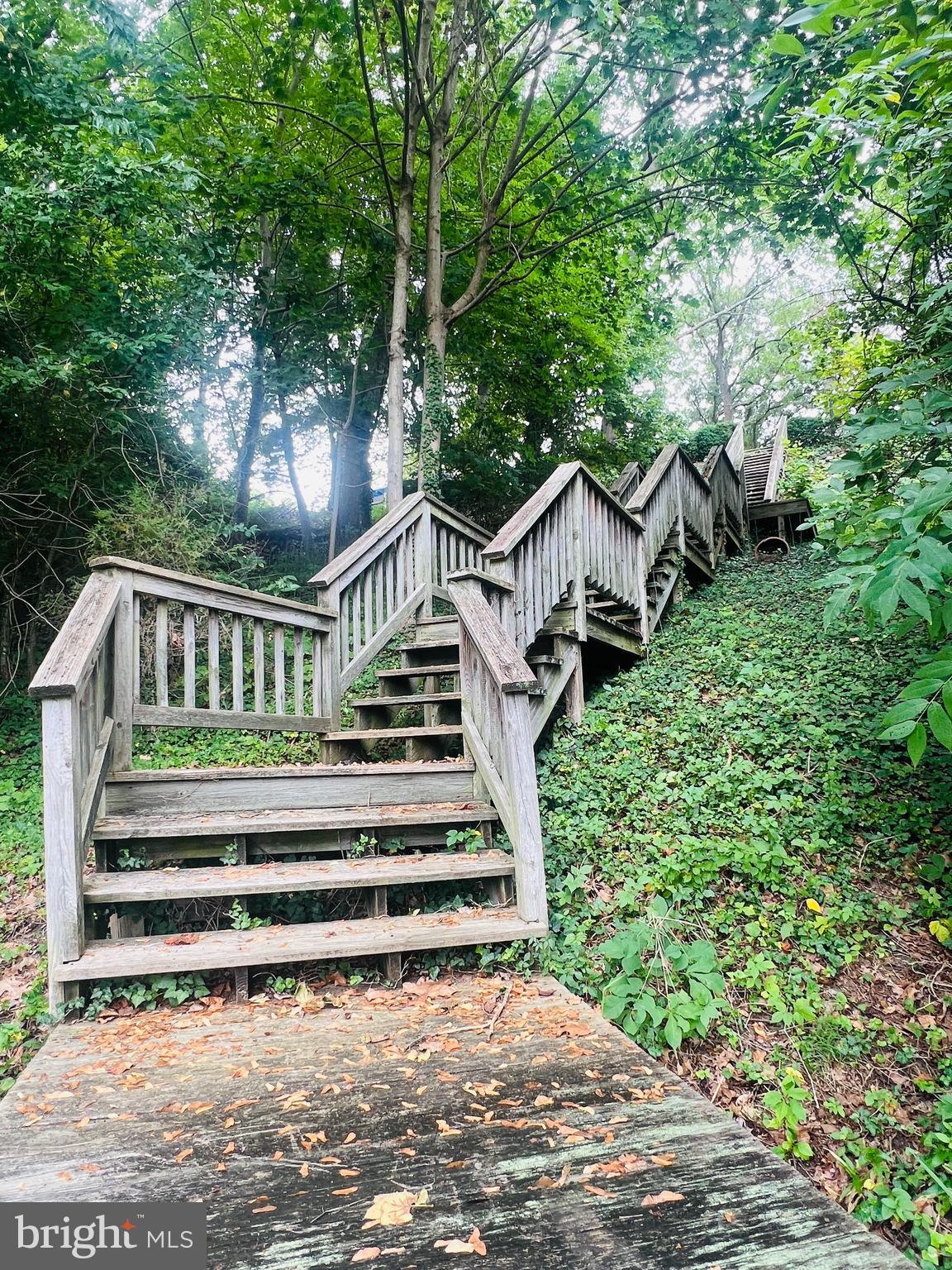 471 Broadwater Road Arnold, MD 21012 - Photo 5 of 30