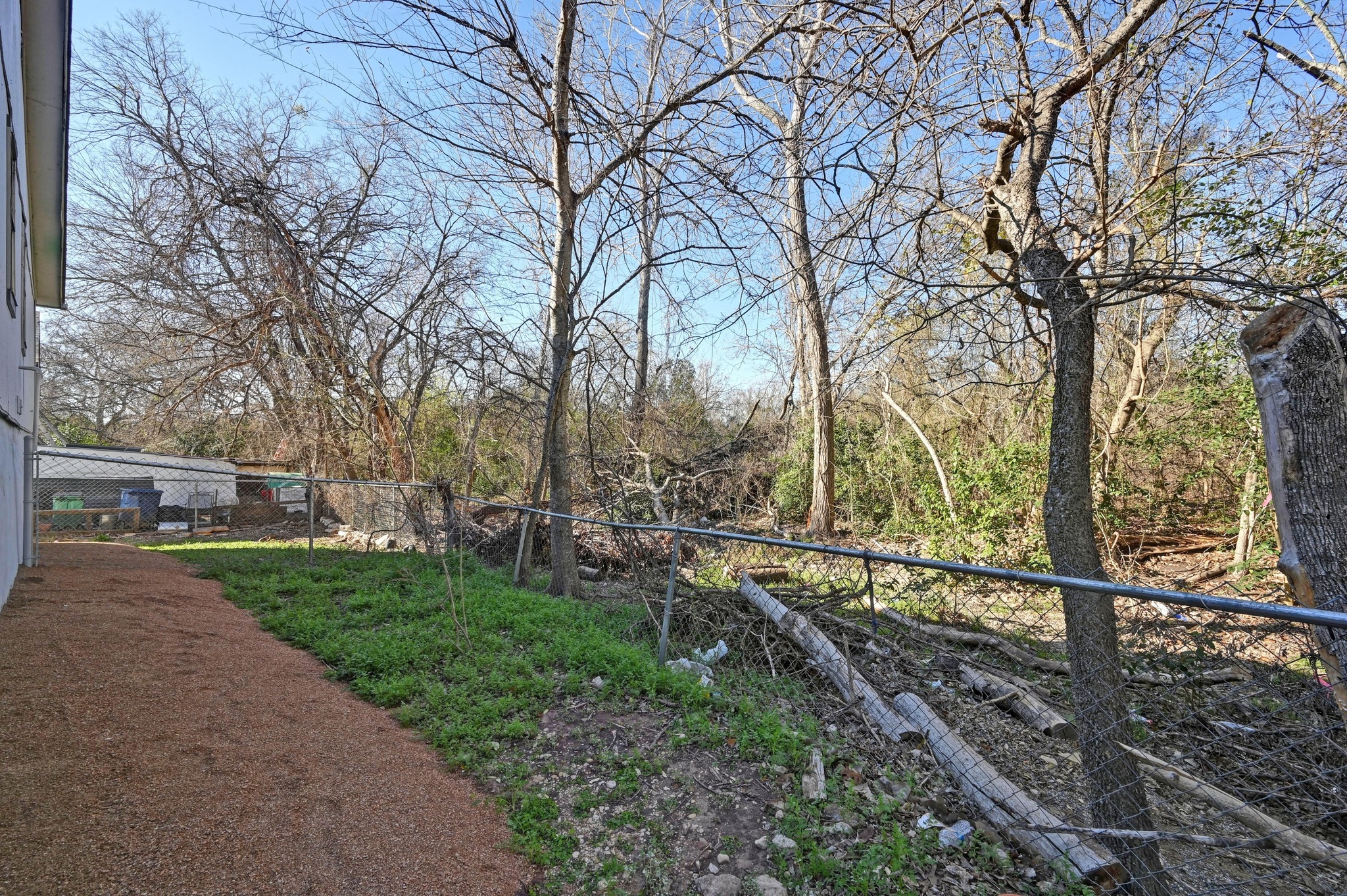 5303 Spring Meadow Road Austin, TX 78744 - Photo 19 of 20 a view of a yard with large trees