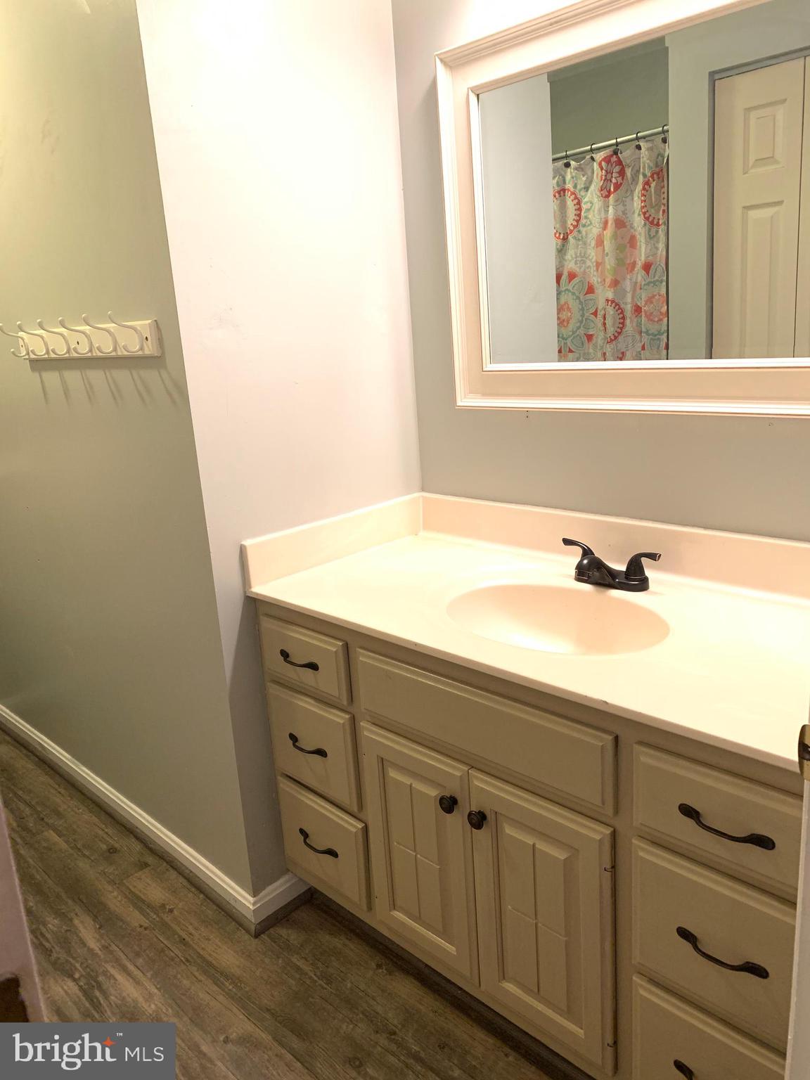 30 Blackburn Road Quarryville, PA 17566 - Photo 17 of 22 Updated hall bath