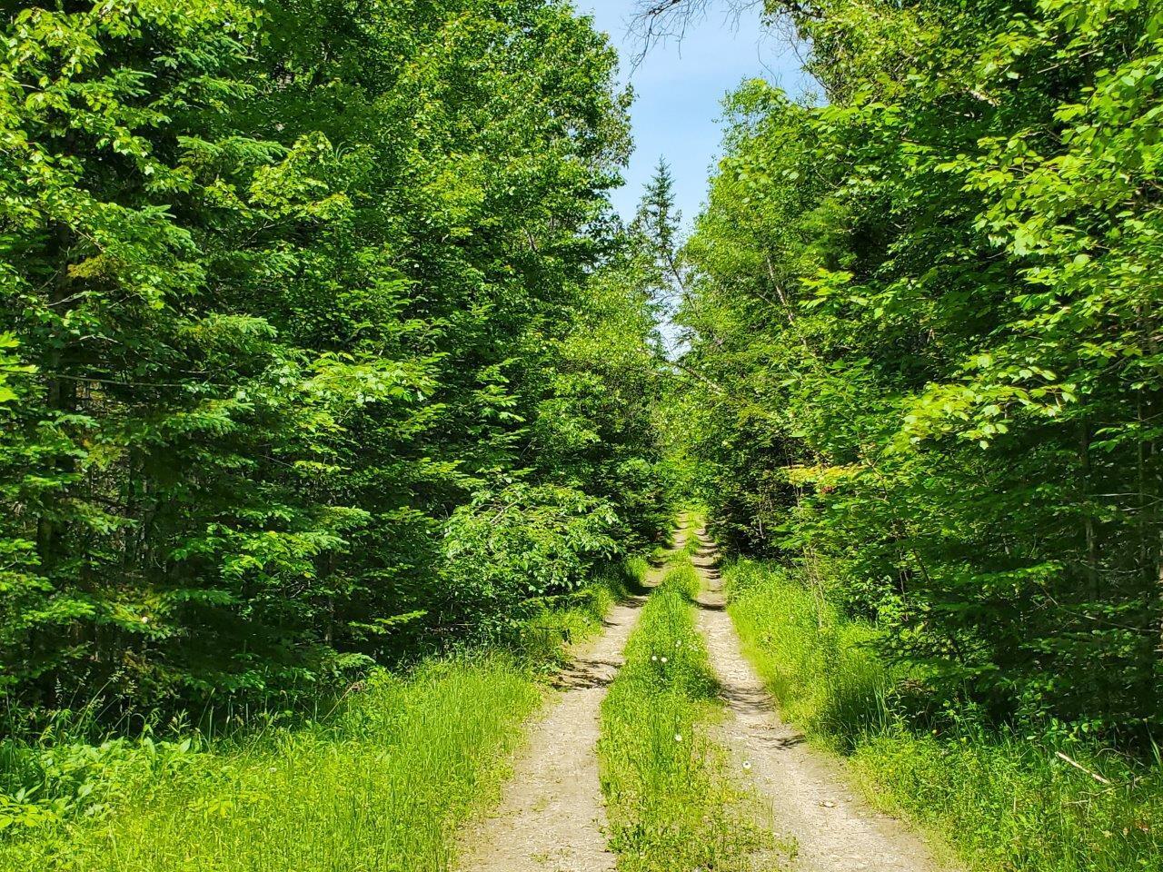 0 Morgan Road Burnham, ME 04922 - Photo 32 of 69 20250617_124148