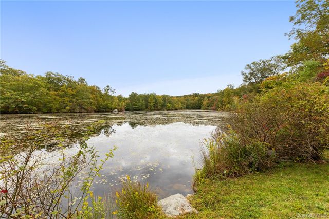 a view of a yard with an trees