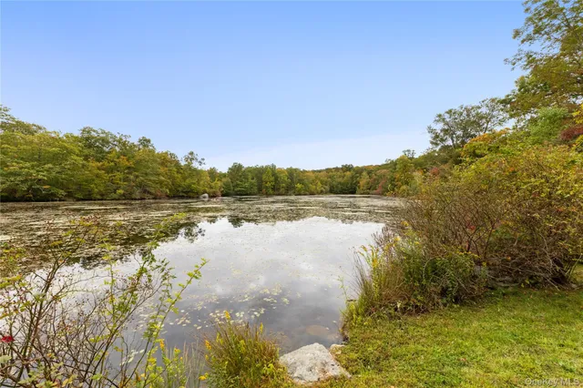 a view of a yard with an trees
