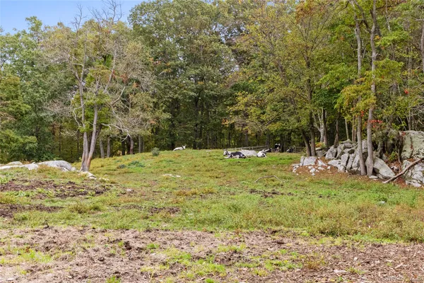 a view of city and ocean