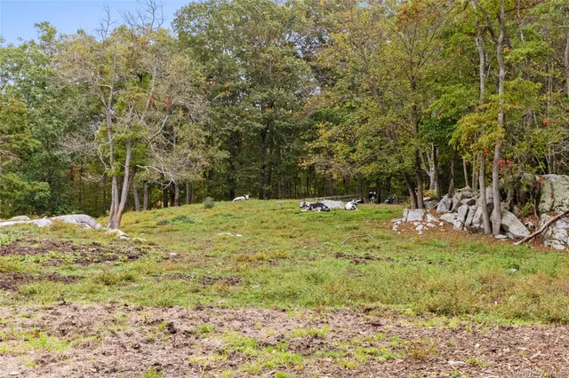 a view of city and ocean