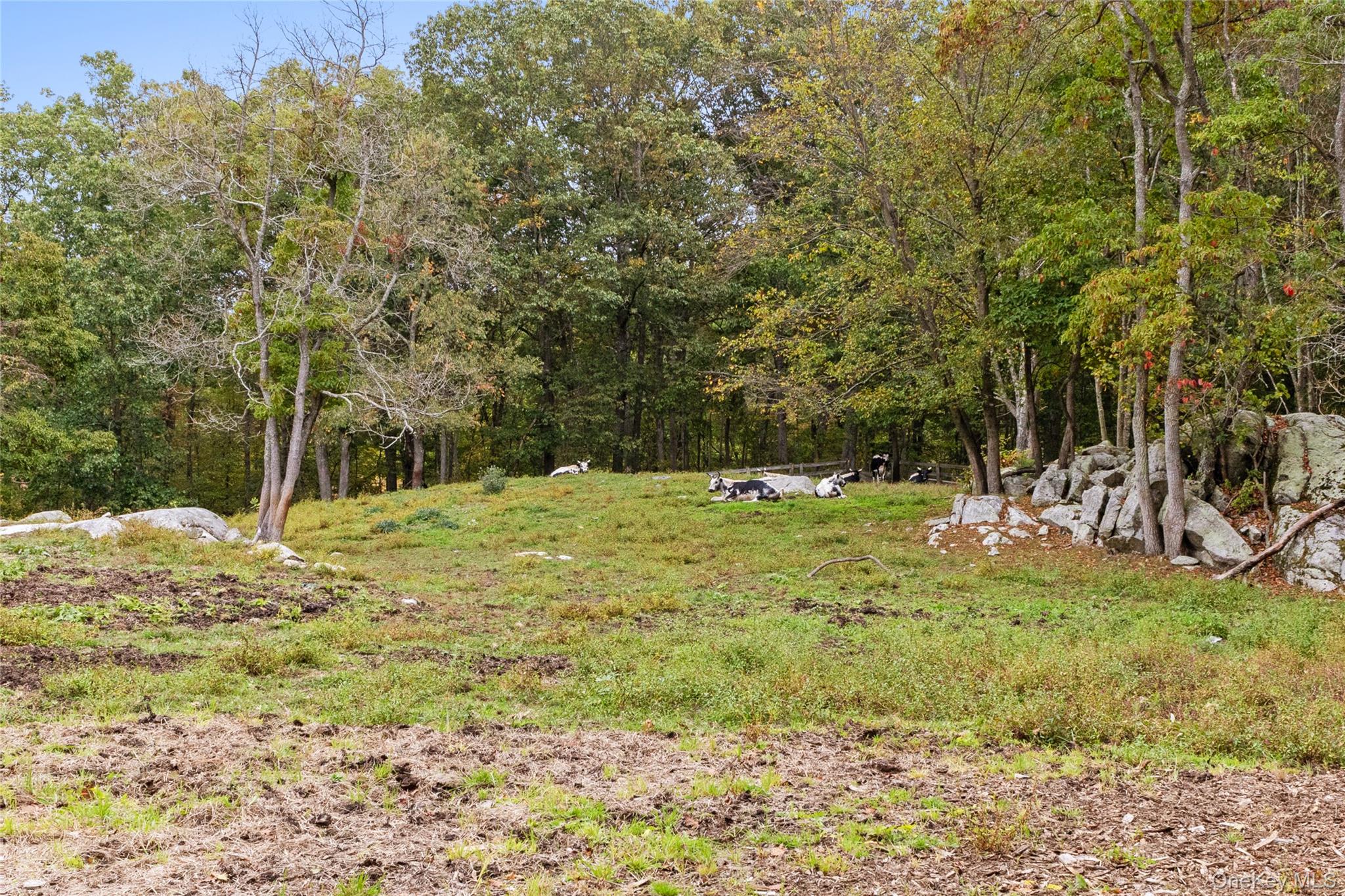 898 Gipsy Trail Road Carmel, NY 10512 - Photo 37 of 42 a backyard of a house with a yard and large trees