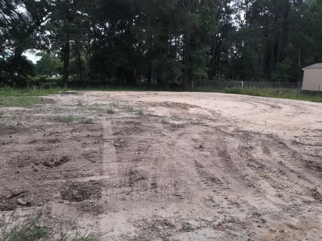 a street view with yard