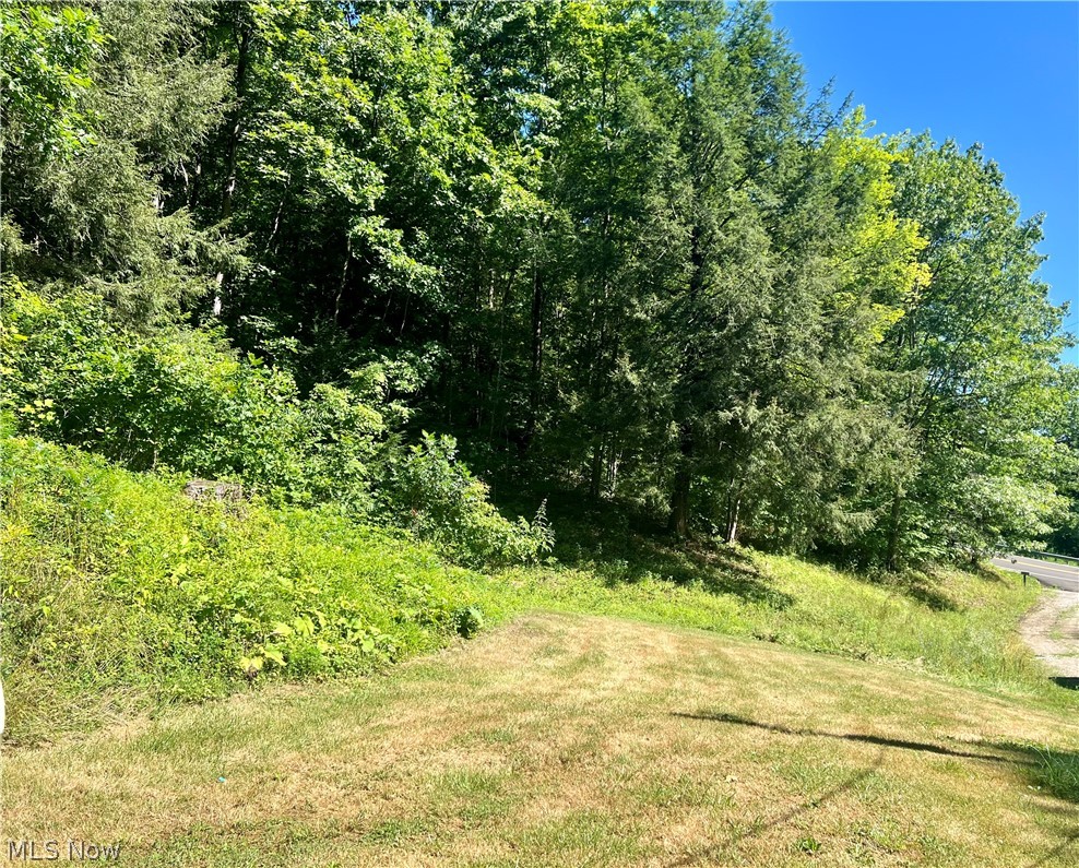 35485 Bashan Road Long Bottom, OH 45743 - Photo 11 of 24 View of yard