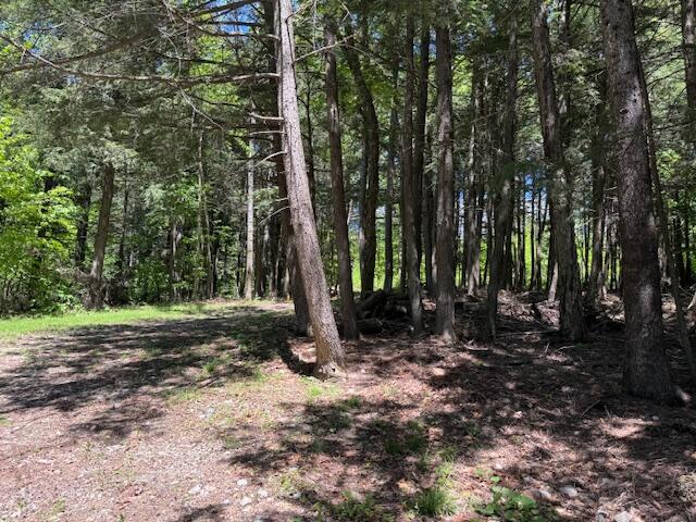 M17-l5 East Shore Road Athens, ME 04912 - Photo 26 of 31 IMG_9903