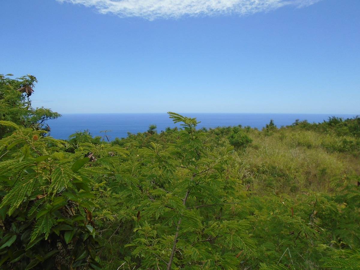 2 Lehua Road Captain Cook, HI 96704 - Photo 5 of 11