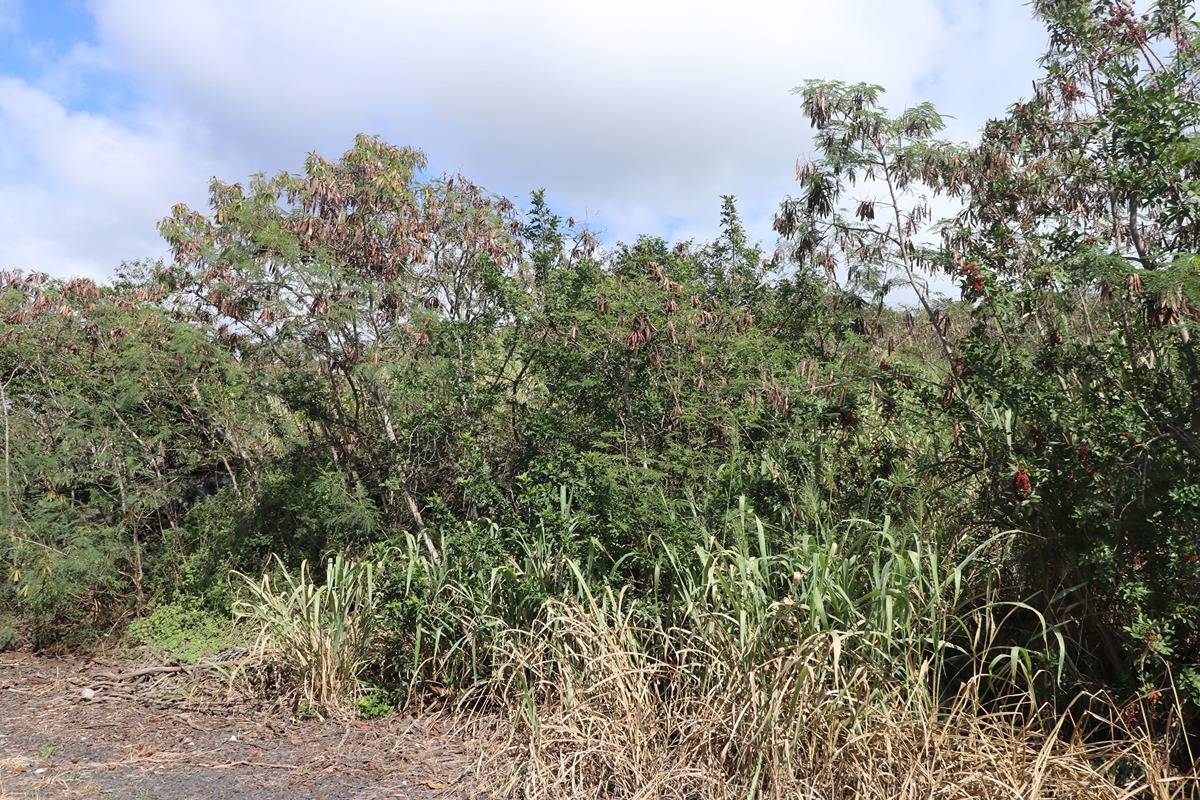 2 Lehua Road Captain Cook, HI 96704 - Photo 8 of 11 a view of a building