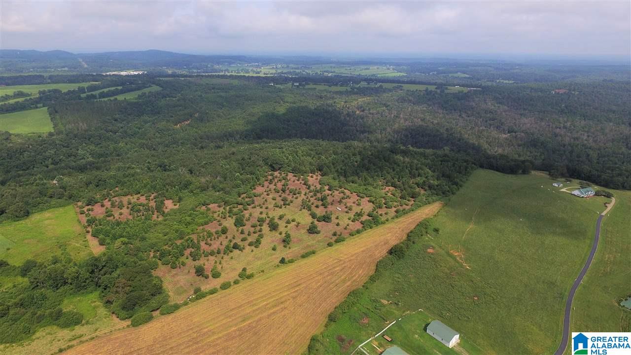 0 Bend Road, Unit 1 Cleveland, AL 35049 - Photo 10 of 19 Gallery Image 10