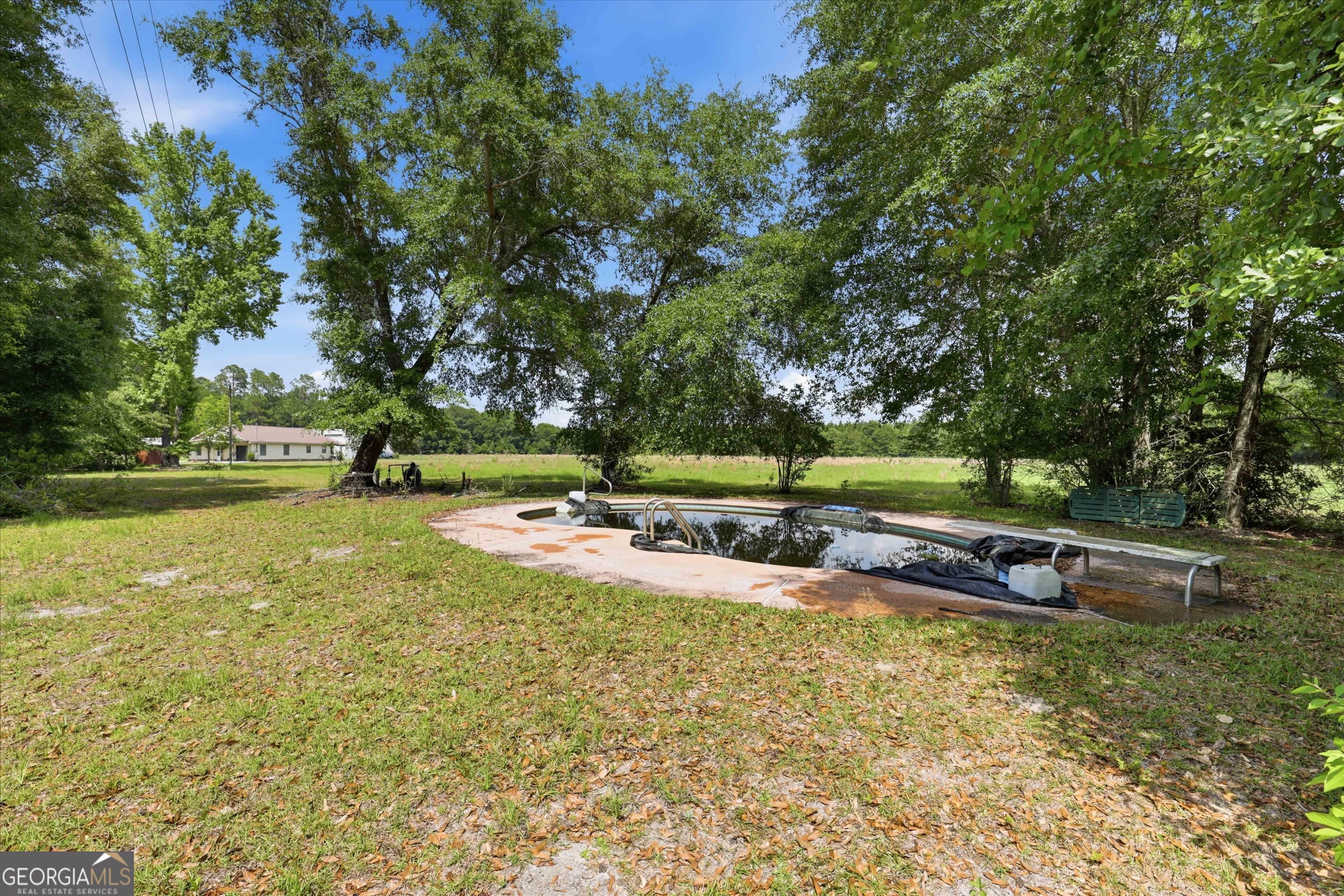 1525 Myron Hart Road Coolidge, GA 31738 - Photo 40 of 58 a view of a park with large trees