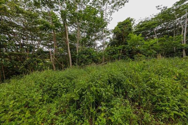 37 Omao Road Koloa, HI 96756 - Photo 26 of 29