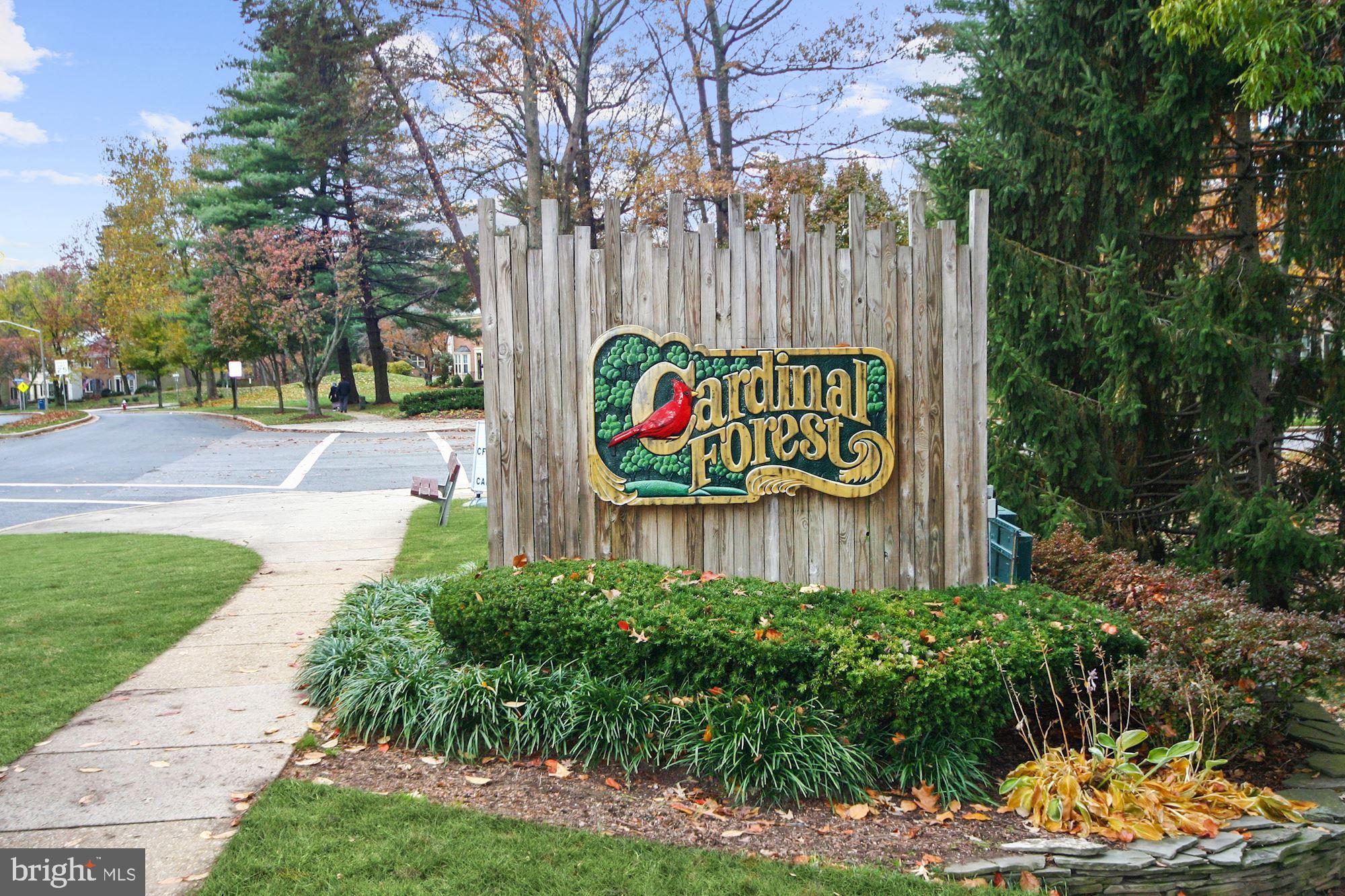 5800 F Torington Drive, Unit 837 Springfield, VA 22152 - Photo 23 of 31 Sought After Cardinal Forest