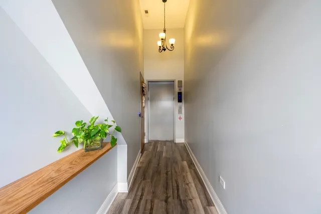 a view of a hallway with wooden floor and a potted plant