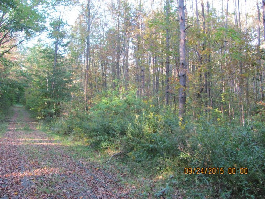 201 Cafferty Road Harpursville, NY 13787 - Photo 1 of 4 Gallery Image 1