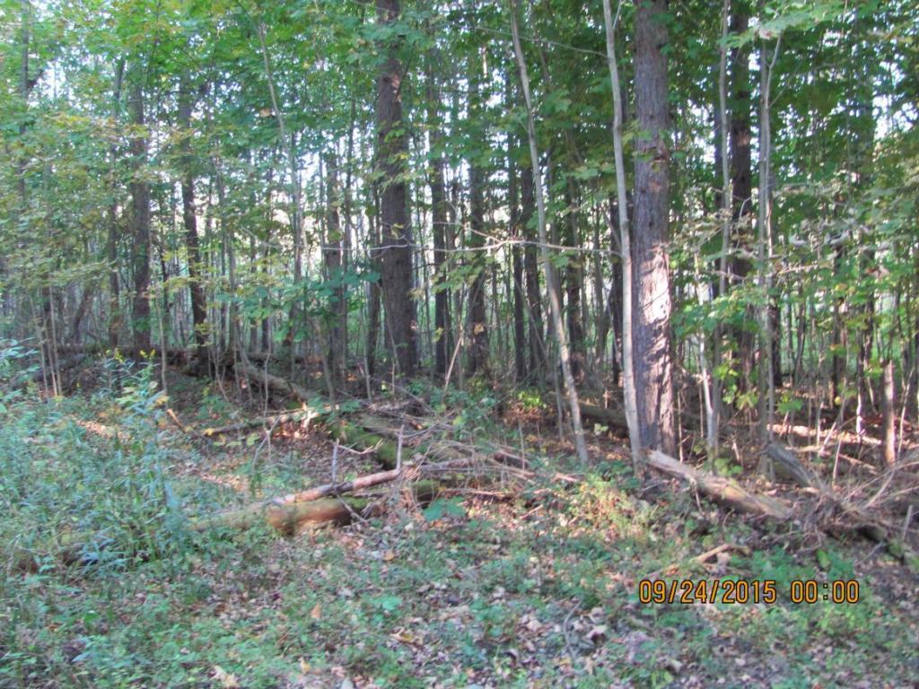 201 Cafferty Road Harpursville, NY 13787 - Photo 2 of 4 Gallery Image 2