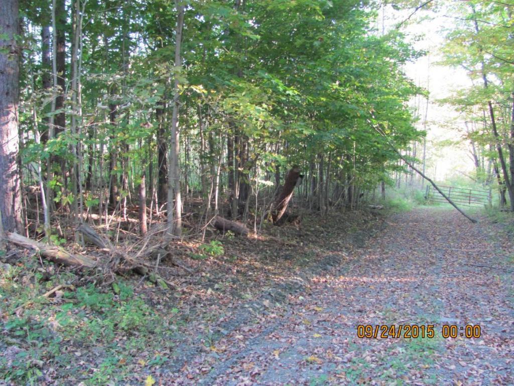 201 Cafferty Road Harpursville, NY 13787 - Photo 3 of 4 Gallery Image 3
