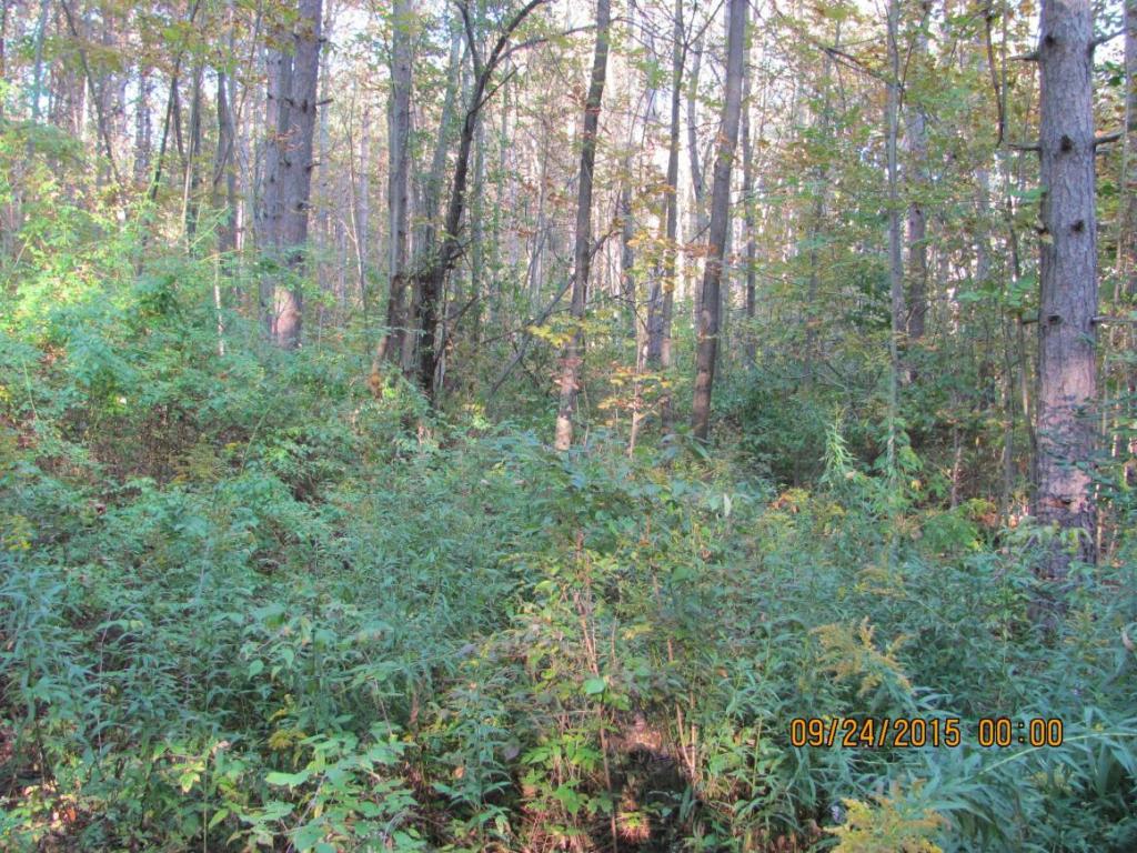 201 Cafferty Road Harpursville, NY 13787 - Photo 4 of 4 Gallery Image 4
