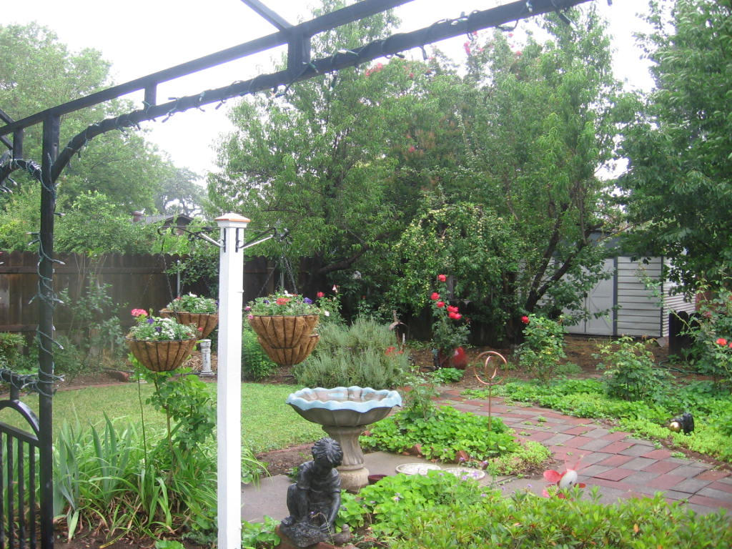 3418 Marmac Road Anderson, CA 96007 - Photo 5 of 16 greenery