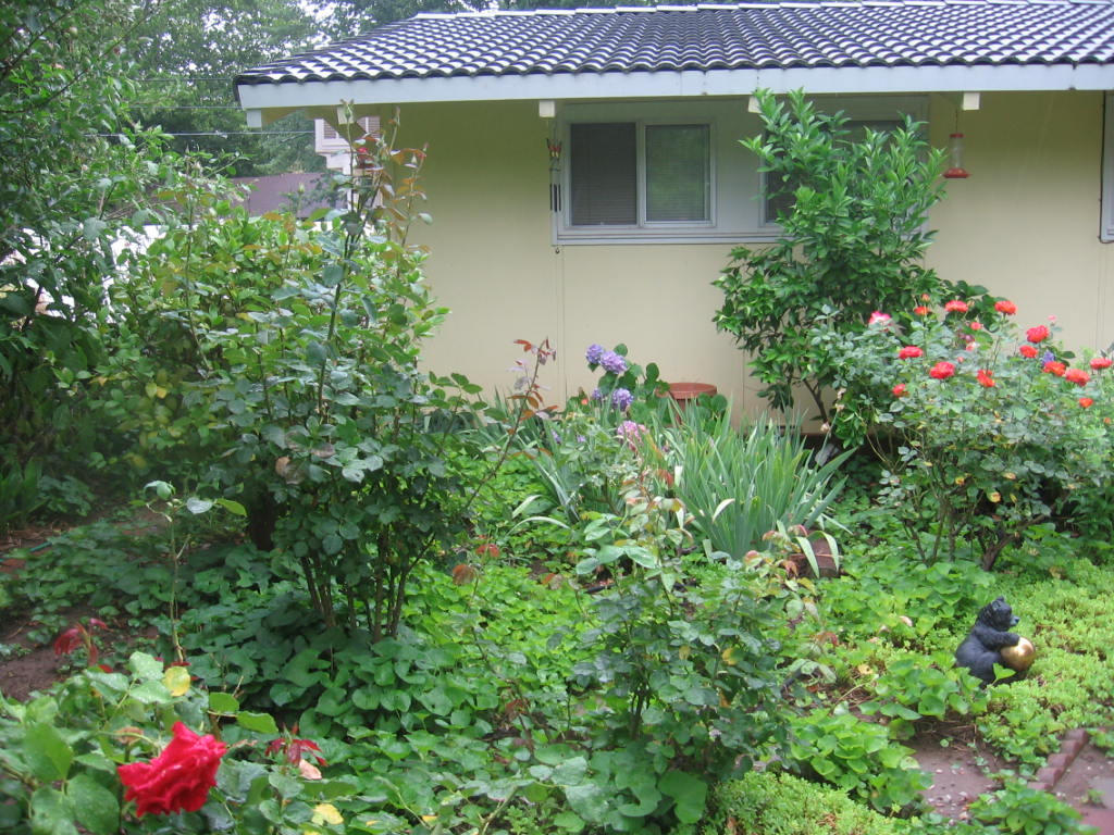3418 Marmac Road Anderson, CA 96007 - Photo 6 of 16 landscaping